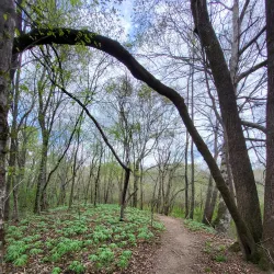 Chattahoochee River National Recreation Area (nearby) - Newnan