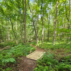 Chattahoochee River National Recreation Area (nearby) - Newnan