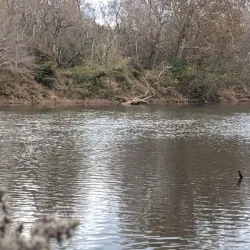 Chattahoochee River National Recreation Area (nearby) - Newnan