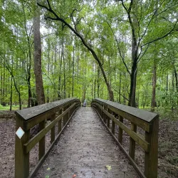 Chattahoochee River National Recreation Area (nearby) - Newnan