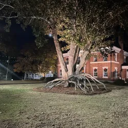 Newnan-Coweta Historical Society - Newnan