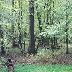 Flat Creek Nature Preserve - Peachtree City