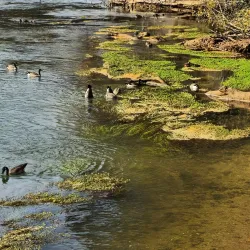 Hudson Bridge Trail - Peachtree City