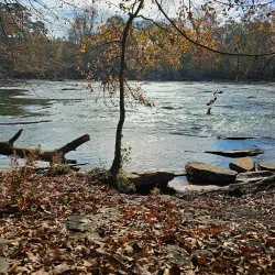 Hudson Bridge Trail - Peachtree City
