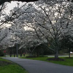Lake Peachtree - Peachtree City