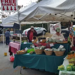 Peachtree City Farmers Market - Peachtree City