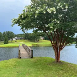 Peachtree City Golf Courses - Peachtree City