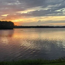 Peachtree City Golf Courses - Peachtree City