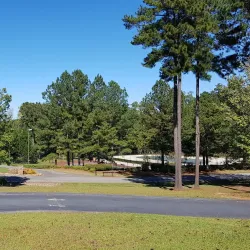 Peachtree City Golf Courses - Peachtree City