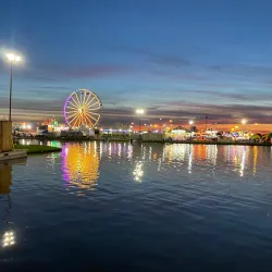 Georgia National Fairgrounds & Agricenter - Perry
