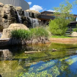 Go Fish Education Center - Perry