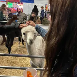 Effingham County Fairgrounds - Rincon
