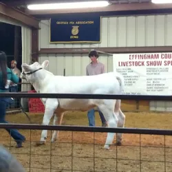 Effingham County Fairgrounds - Rincon