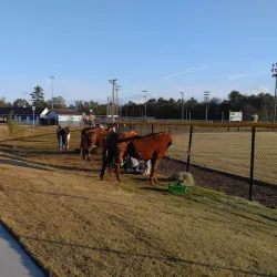 Rincon Community Center - Rincon