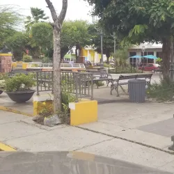 Rincon Farmers Market - Rincon