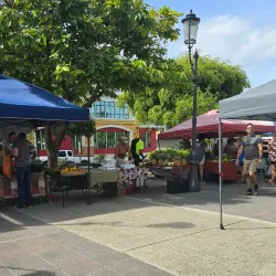 Rincon Farmers Market - Rincon