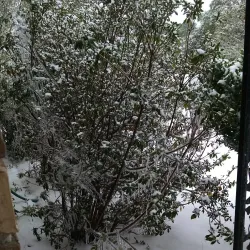 Rincon Historic District - Rincon