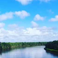 Savannah National Wildlife Refuge - Rincon