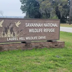 Savannah National Wildlife Refuge - Rincon