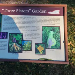 Chieftains Museum/Major Ridge Home - Rome