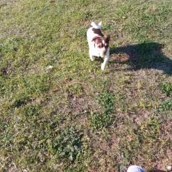 Etowah River Park - Rome