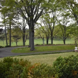 Oak Hill & The Martha Berry Museum - Rome