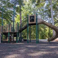 Ridge Ferry Park - Rome