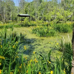 Ridge Ferry Park - Rome