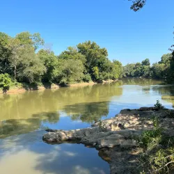 Ridge Ferry Park - Rome