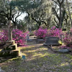 Bonaventure Cemetery - Savannah
