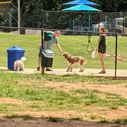 Smyrna Dog Park - Smyrna