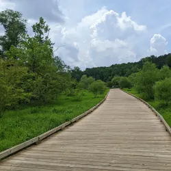 George Pierce Park - Snellville