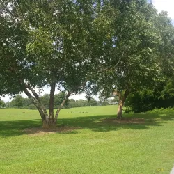 Snellville Trail System - Snellville