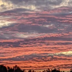 Avenue of the Oaks - Statesboro