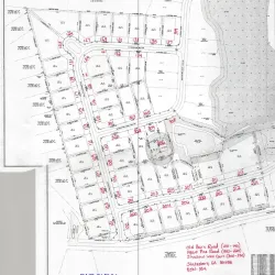 Avenue of the Oaks - Statesboro