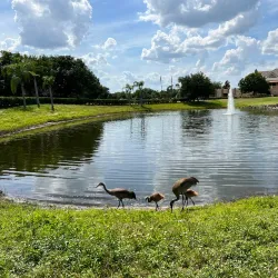 Eagle Creek Golf Club - Statesboro
