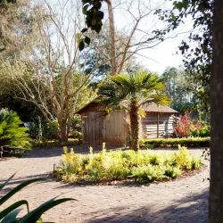 Georgia Southern University - Statesboro