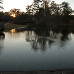 Georgia Southern University - Statesboro