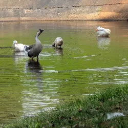 Johnny Henderson Park - Statesboro