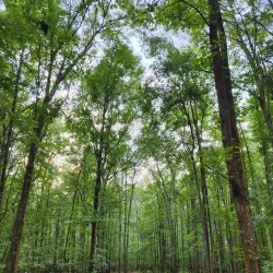 Heritage Park - Stockbridge