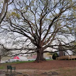 Heritage Park - Stockbridge