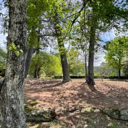 Confederate Hall Historical & Environmental Education Center - Stone Mountain
