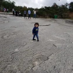Confederate Hall Historical & Environmental Education Center - Stone Mountain