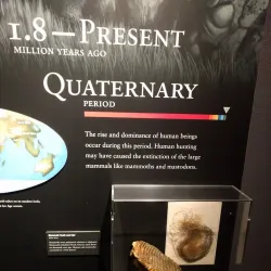 Confederate Hall Historical & Environmental Education Center - Stone Mountain