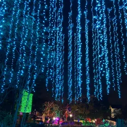 Geyser Towers - Stone Mountain