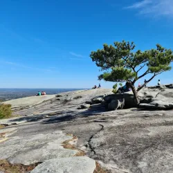 Stone Mountain Park - Stone Mountain