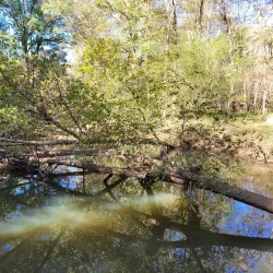 Suwanee Creek Greenway - Suwanee