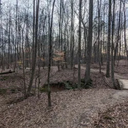 Suwanee Creek Greenway - Suwanee