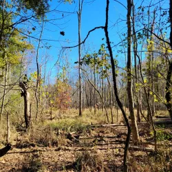Suwanee Creek Park - Suwanee