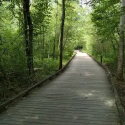 Suwanee Creek Park - Suwanee